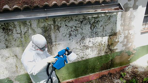 Trusted Attic Mold Removal service in Harrisburg, NC - Cheap Mold Removal